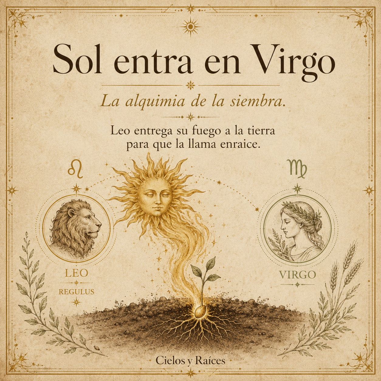 Sol en Virgo 2026: La alquimia de la siembra